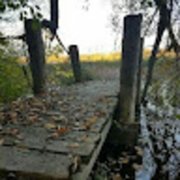 Meet your Posher, Bryan - Picture 1 of 1